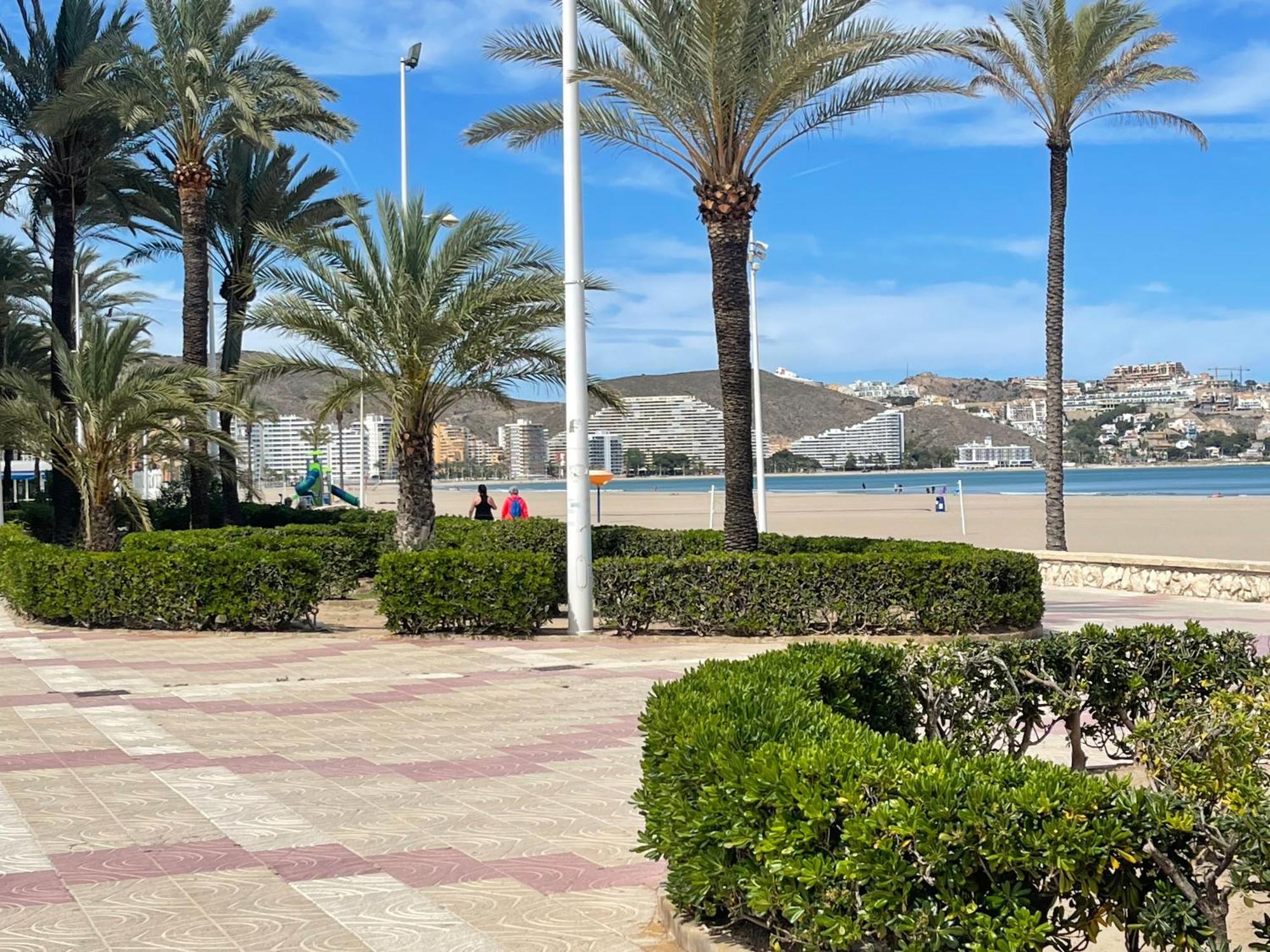 Cataleya Apartment Cullera Εξωτερικό φωτογραφία